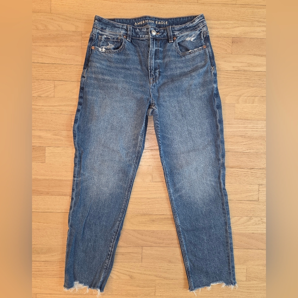 American Eagle Strigid Mom Jeans